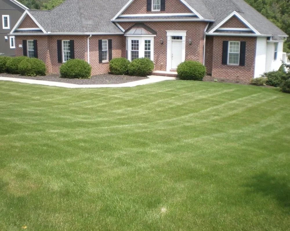 Professional landscape installation for beautiful yards across Brookhaven, PA - Ns Landscaping