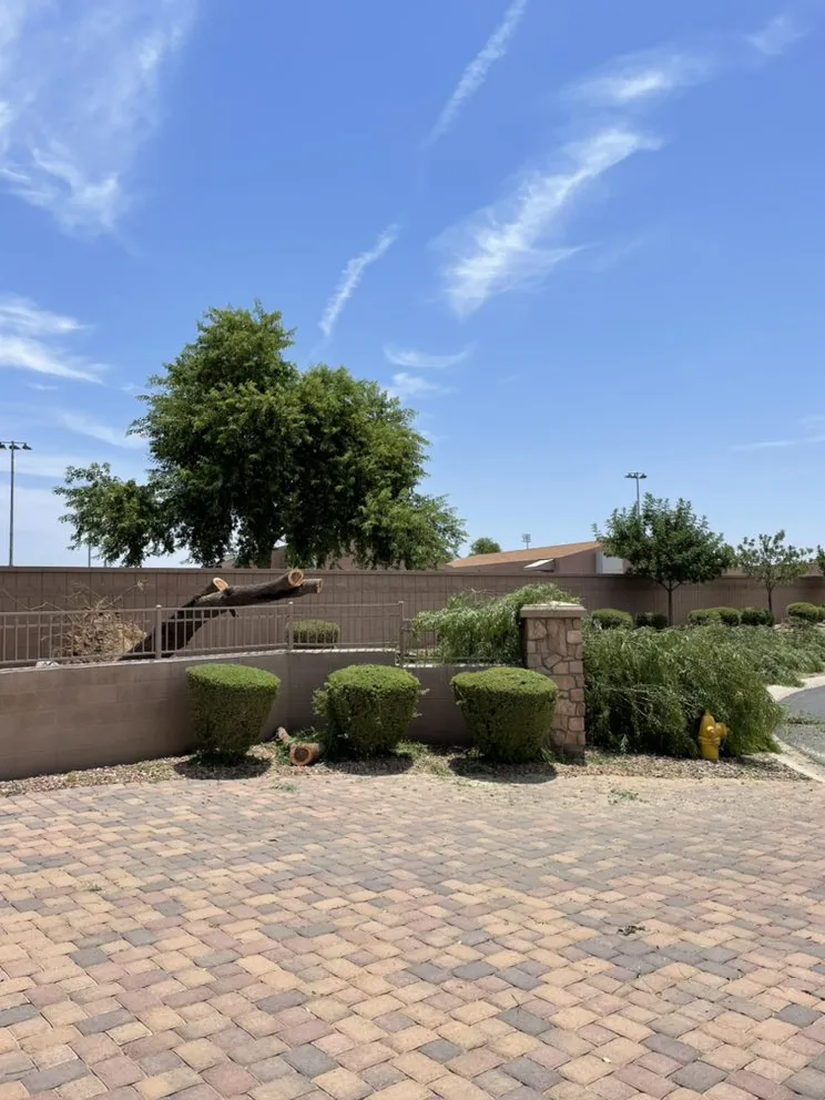 Top-rated landscape installation for homes in Queen Creek, AZ by NS Landscaping