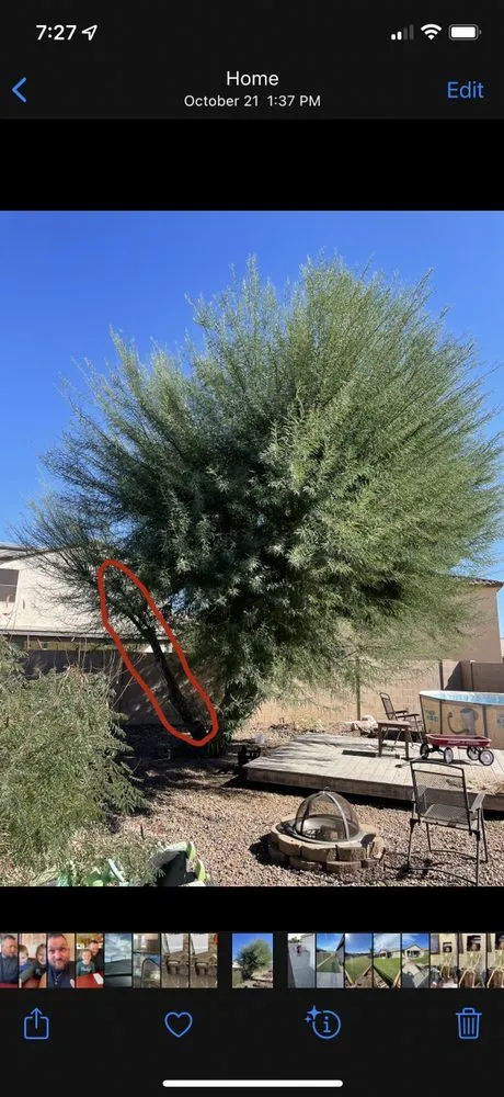 Expert landscape installation with custom design across Queen Creek, AZ - NS Landscaping