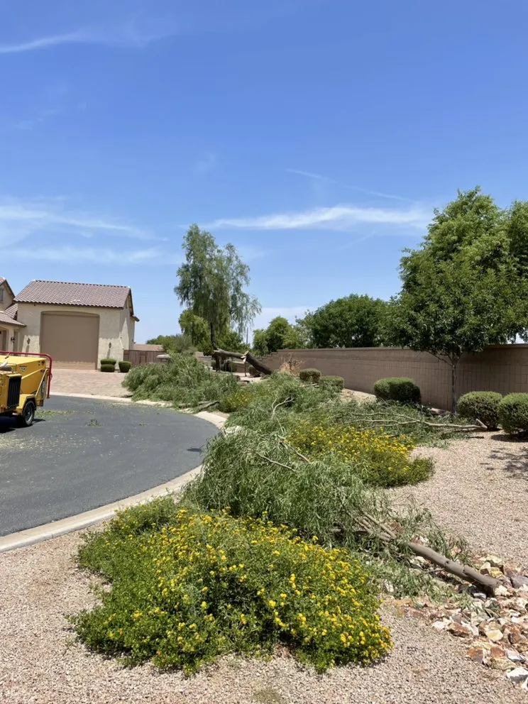 Expert yard cleanup service with custom design in Queen Creek, AZ by NS Landscaping
