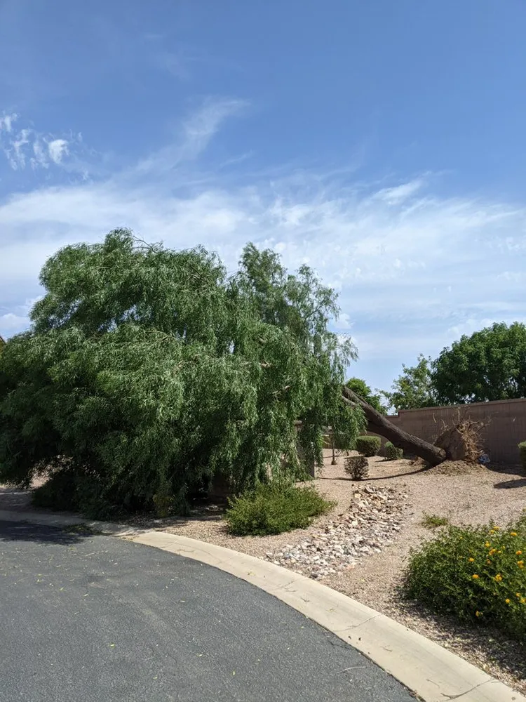 Affordable landscape design experts serving Queen Creek, AZ - NS Landscaping