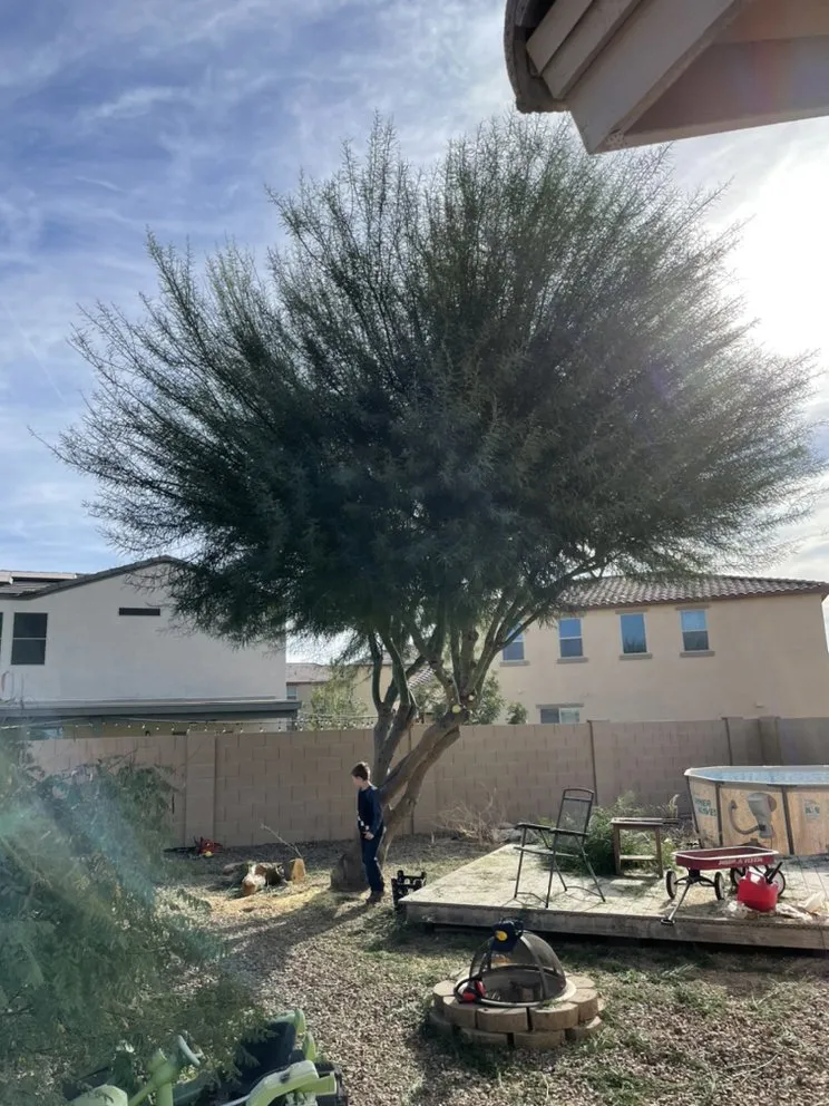 Top-rated lawn care service for homes in Queen Creek, AZ by NS Landscaping