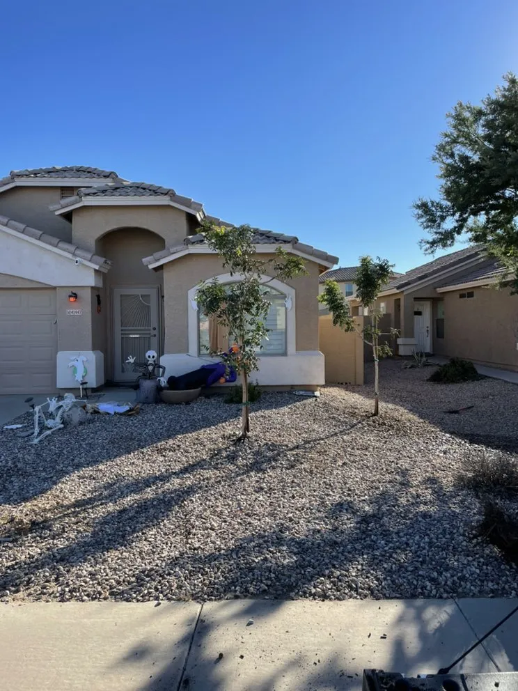 Trusted yard cleanup service in Queen Creek, AZ - NS Landscaping