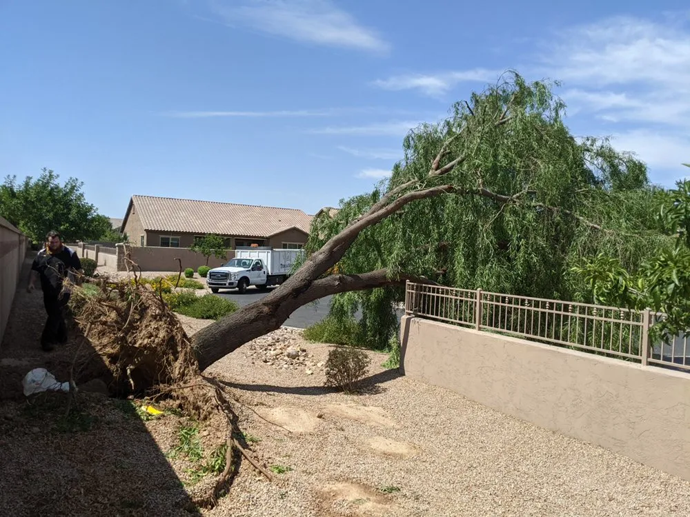 Affordable landscaping services in Queen Creek, AZ by NS Landscaping