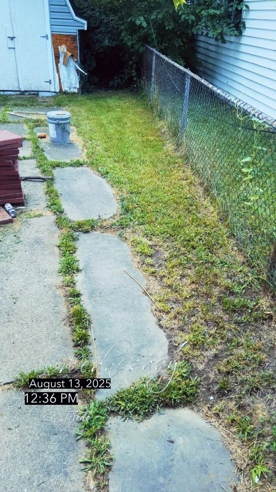 Custom yard maintenance for residential properties across Toledo, OH - N&S LawnCare & Powerwashing services