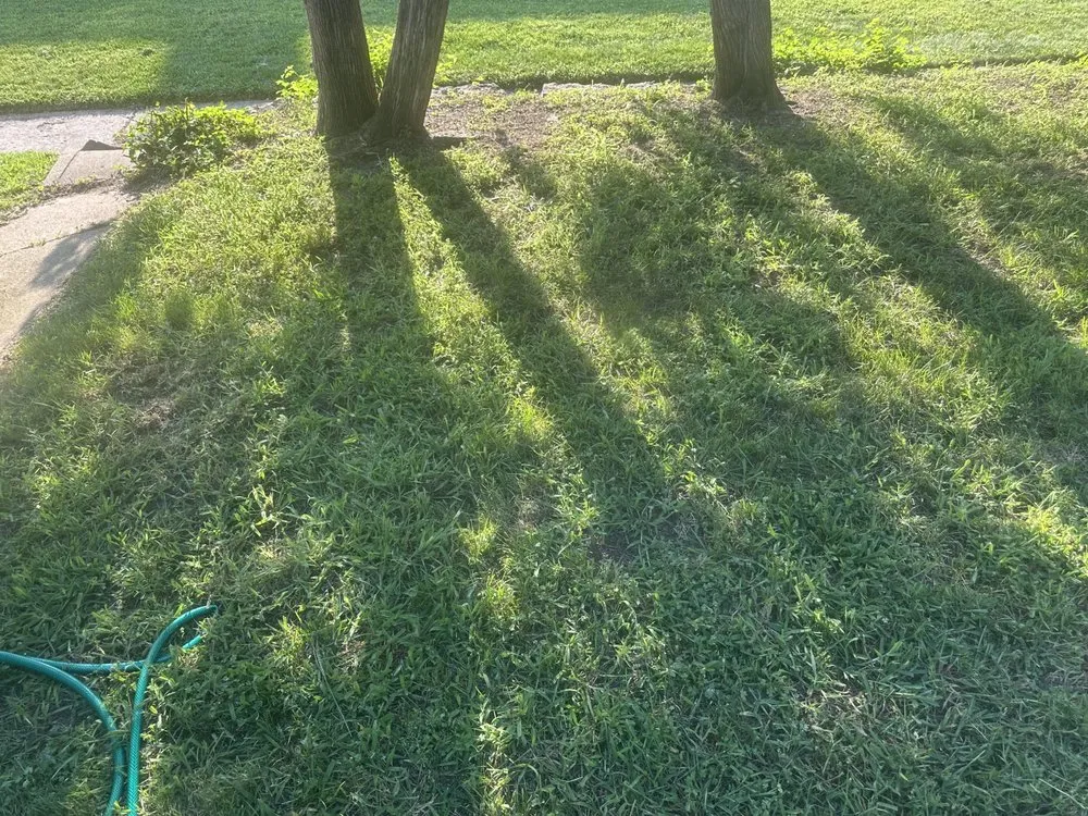 Trusted lawn care service experts serving Toledo, OH - N&S LawnCare & Powerwashing services