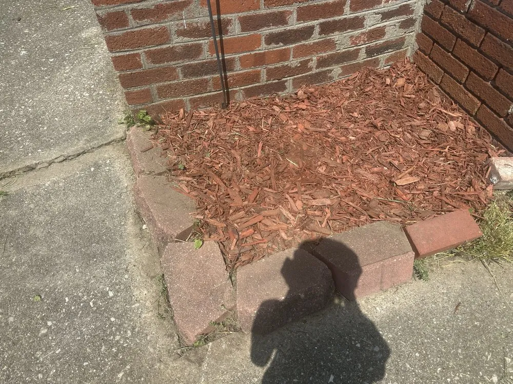 Professional lawn care service for beautiful yards in Toledo, OH by N&S LawnCare & Powerwashing services