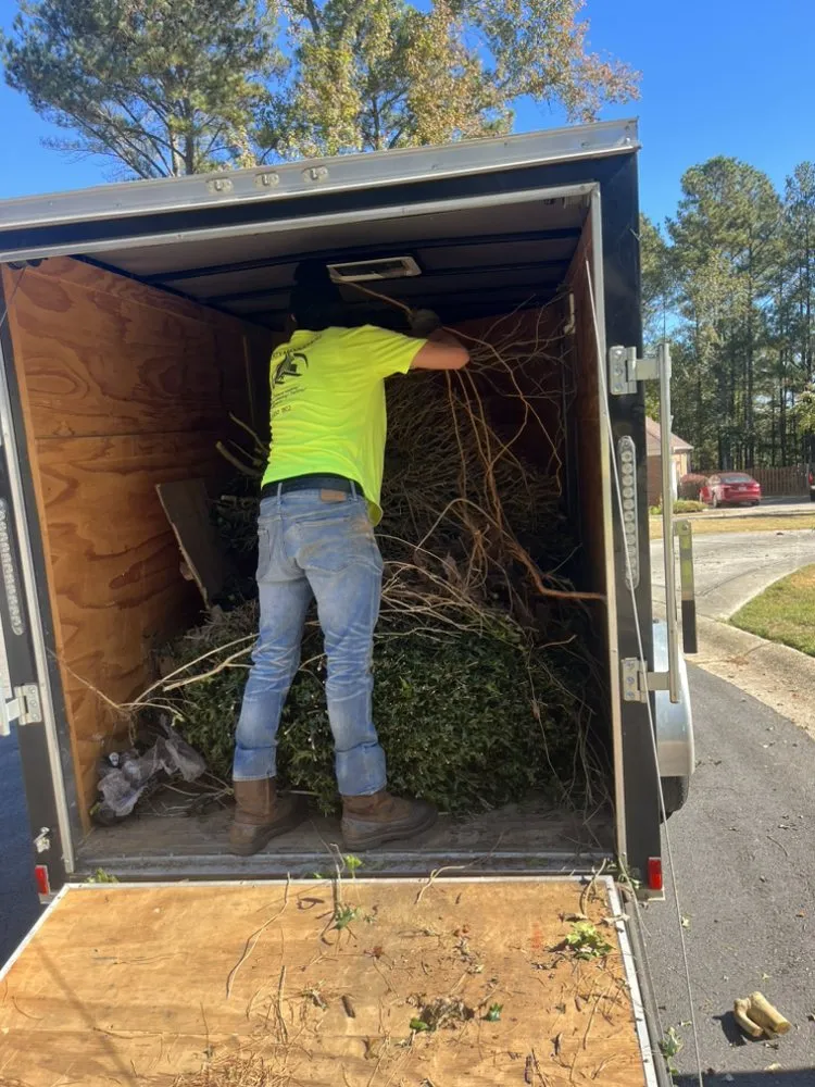 Expert lawn care service for year-round maintenance across Newnan, GA - NS Maintenance