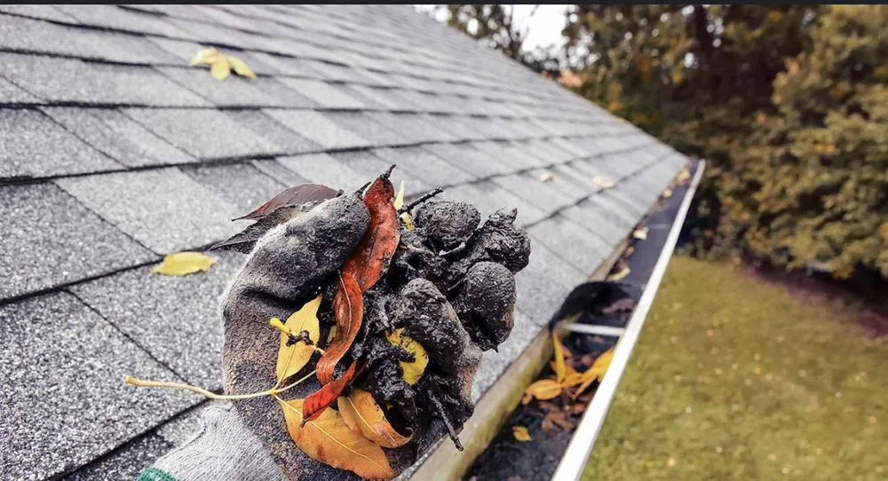 Trusted landscape installation experts serving Newnan, GA - NS Maintenance