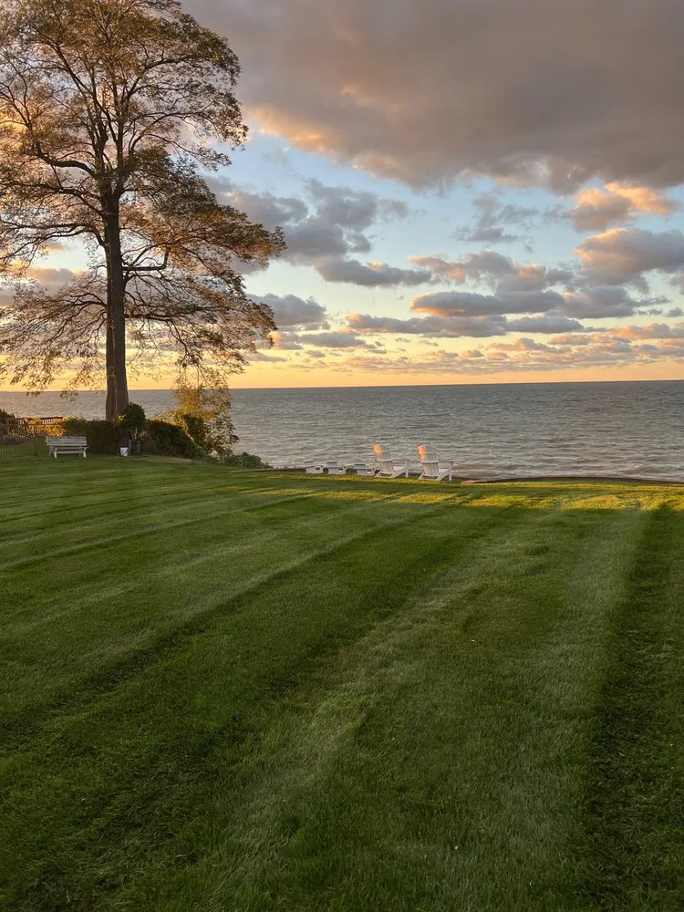 Expert landscape design in Webster, NY - NS Property Management