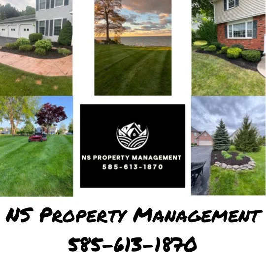 Reliable landscaping services for homes across Webster, NY - NS Property Management