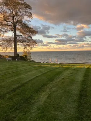 NS Property Management Logo