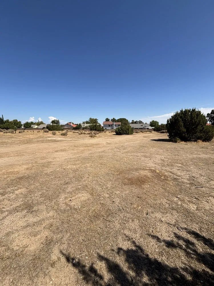 Top-rated landscape installation in Lancaster, CA - NSH Tree Services