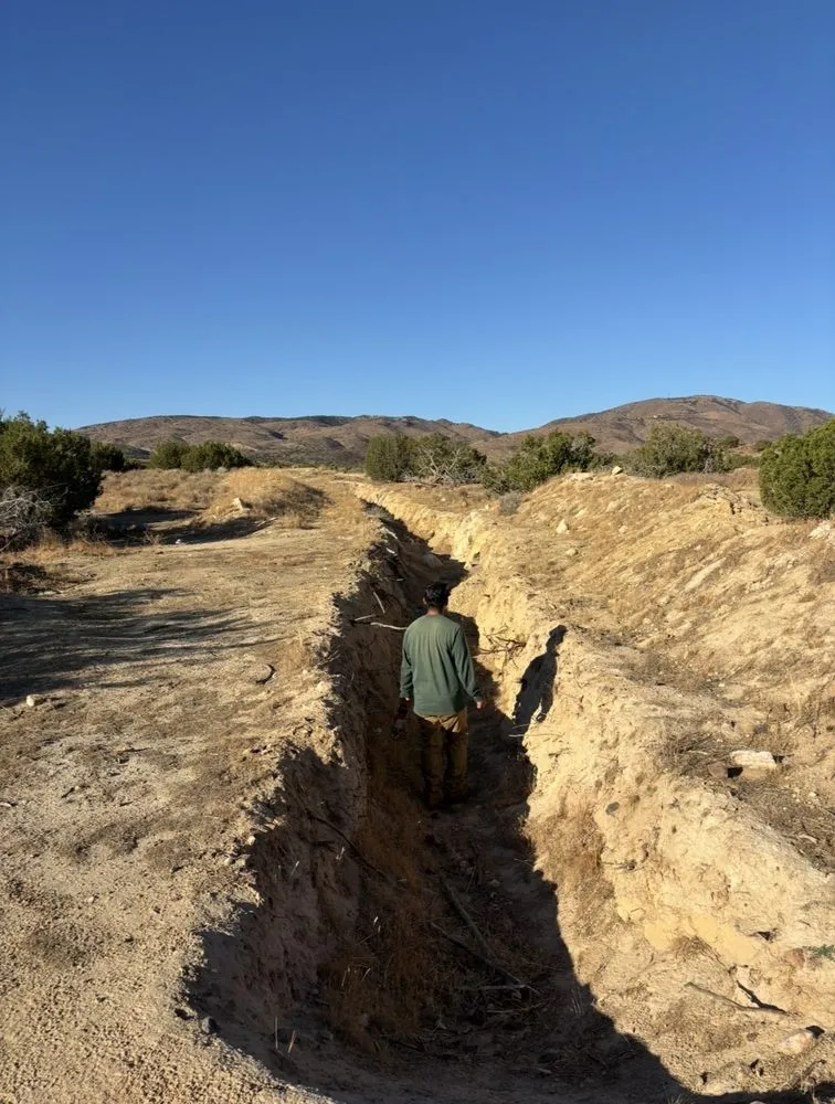 Affordable lawn care service in Lancaster, CA - NSH Tree Services