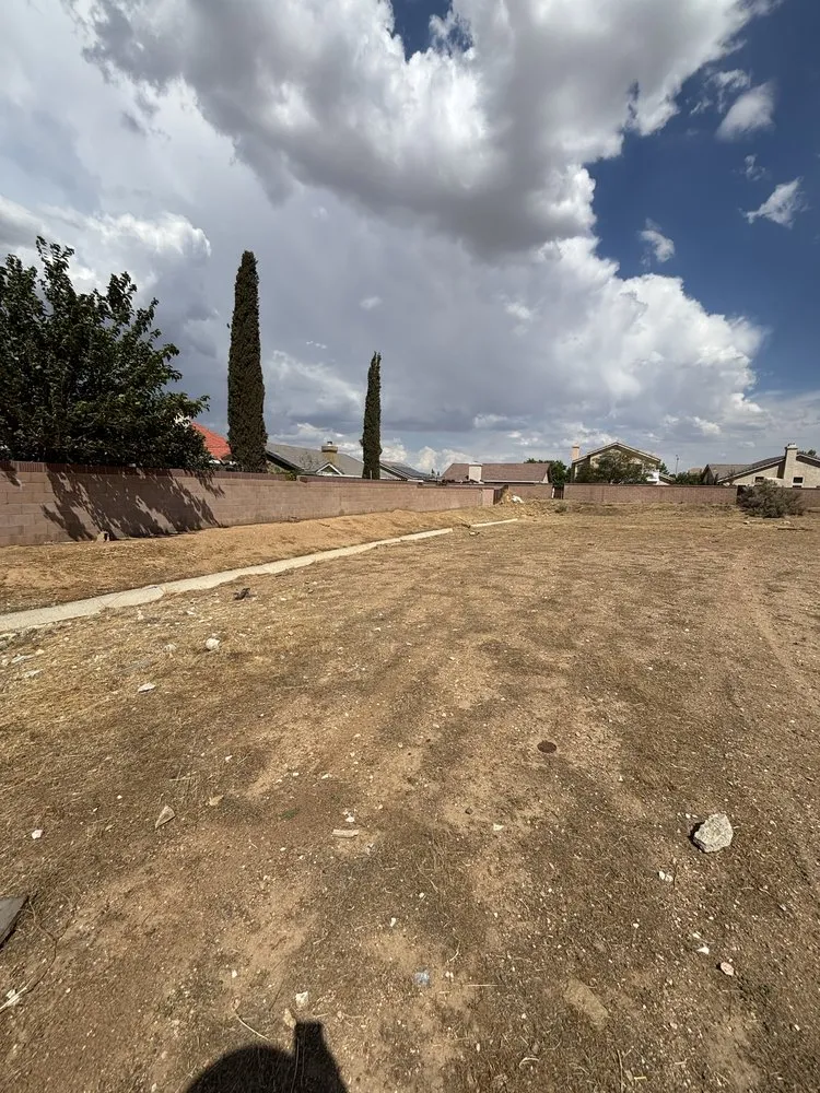 Professional outdoor landscaping in Lancaster, CA by NSH Tree Services