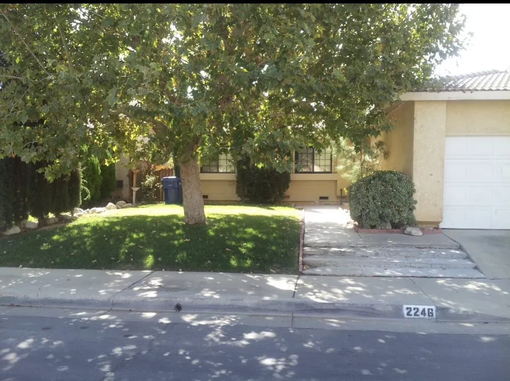 Affordable outdoor landscaping for outdoor upgrades across Lancaster, CA - NSH Tree Services