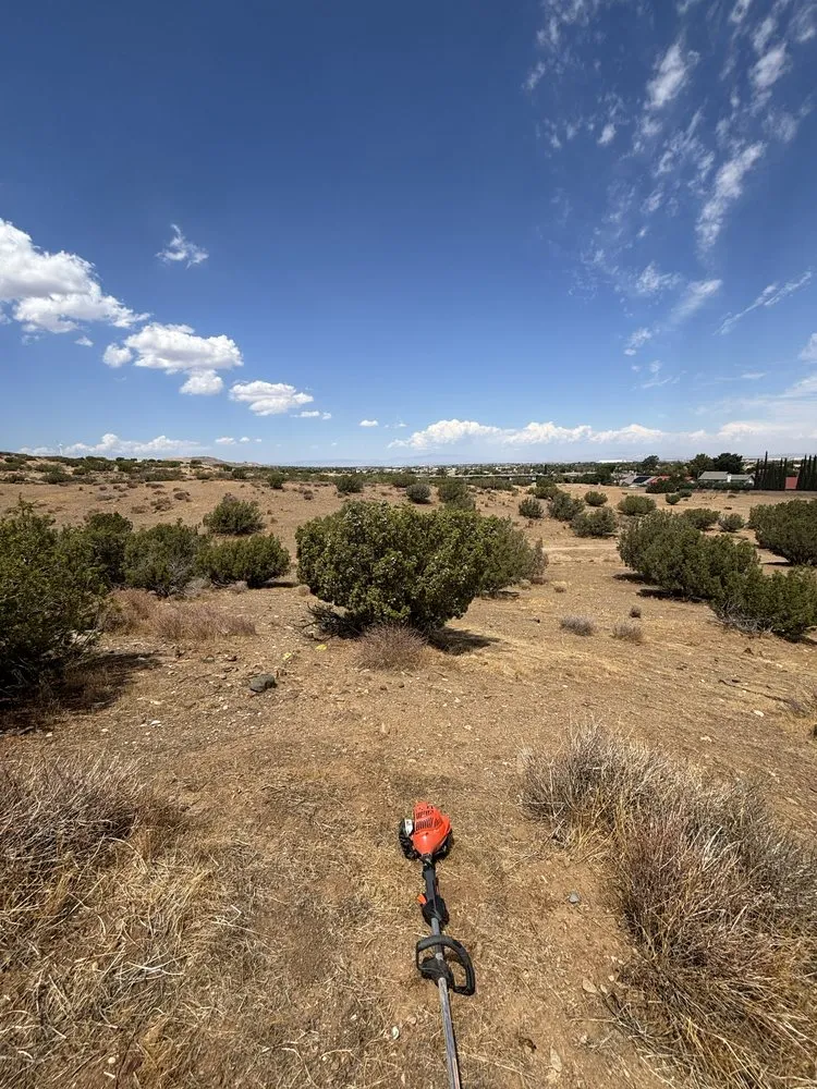 Custom lawn care service with custom design across Lancaster, CA - NSH Tree Services