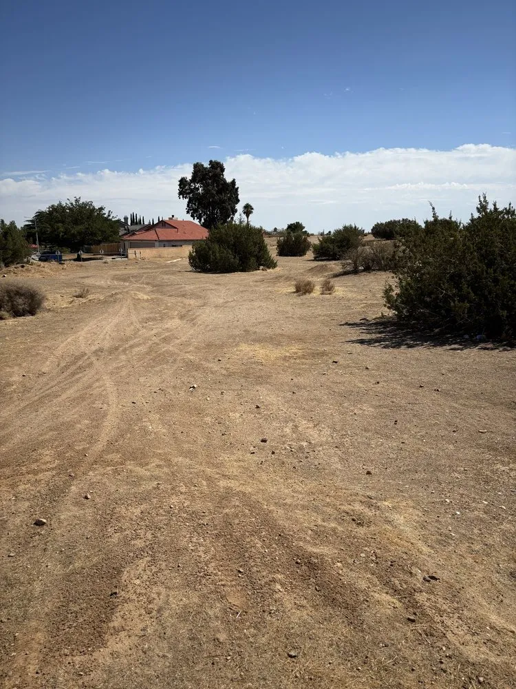 Top-rated garden landscaping in Lancaster, CA - NSH Tree Services