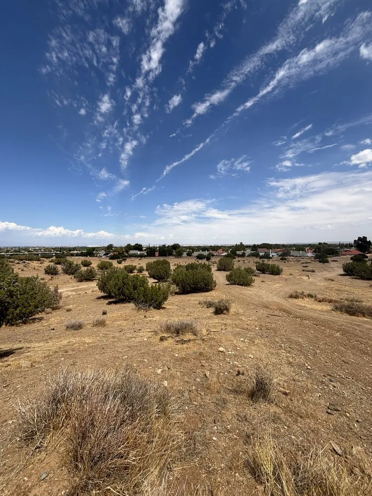 Affordable landscape installation for residential properties in Lancaster, CA by NSH Tree Services