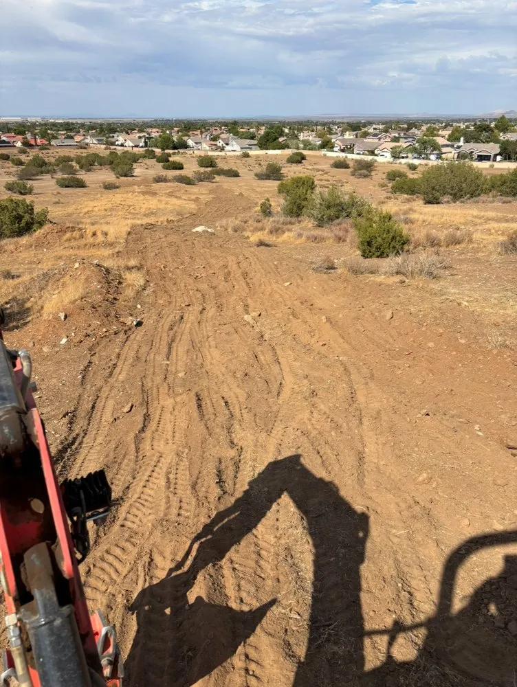 Top-rated lawn care service in Lancaster, CA by NSH Tree Services