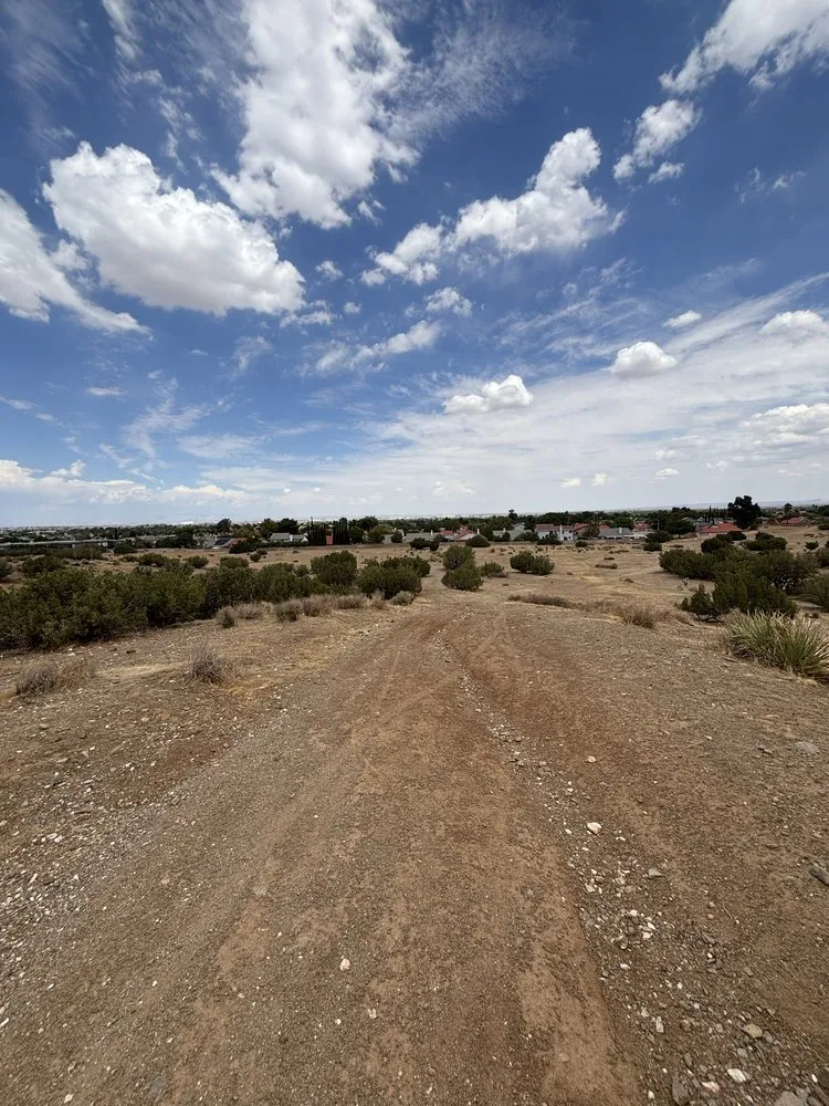 Professional landscape installation in Lancaster, CA - NSH Tree Services