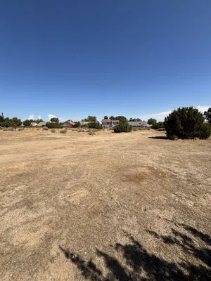 NSH Tree Services Logo