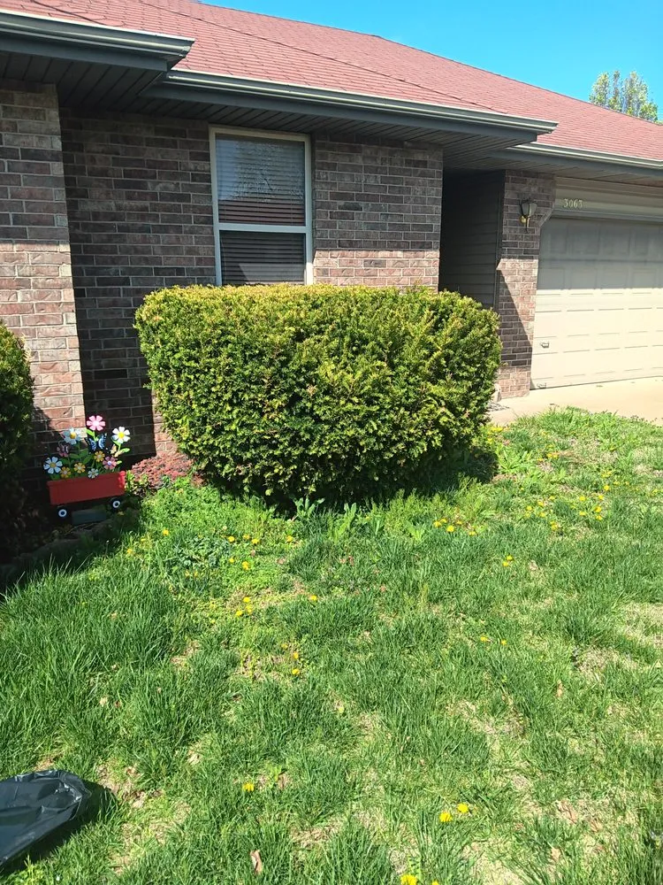 Professional yard cleanup service experts serving Springfield, MO - Nside & Out Painting Plus