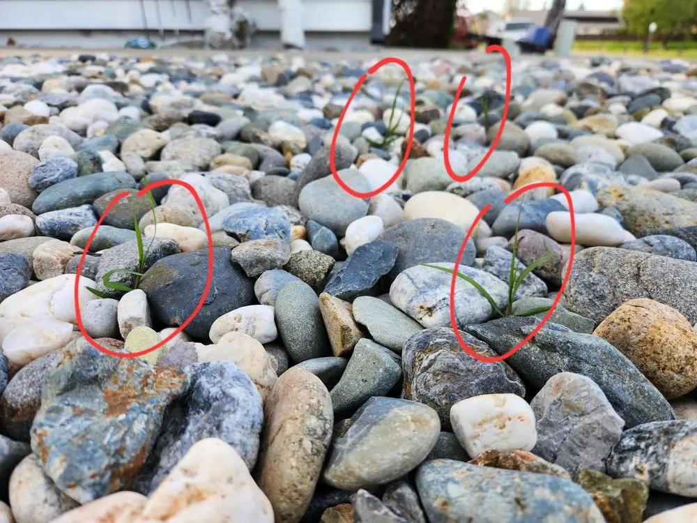 Trusted outdoor landscaping in Elk Grove, CA by NT Landscaping Service