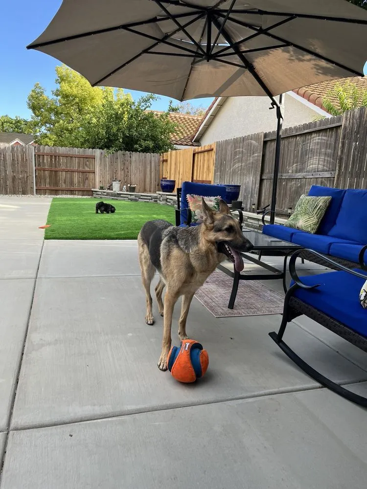 Affordable garden landscaping experts serving Elk Grove, CA - NT Landscaping Service