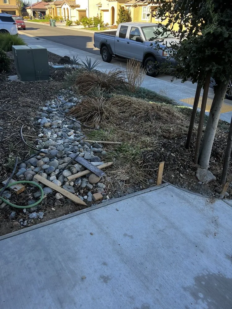 Affordable yard maintenance in Elk Grove, CA by NT Landscaping Service