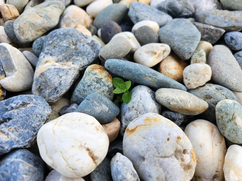 Top-rated landscape installation for outdoor upgrades across Elk Grove, CA - NT Landscaping Service