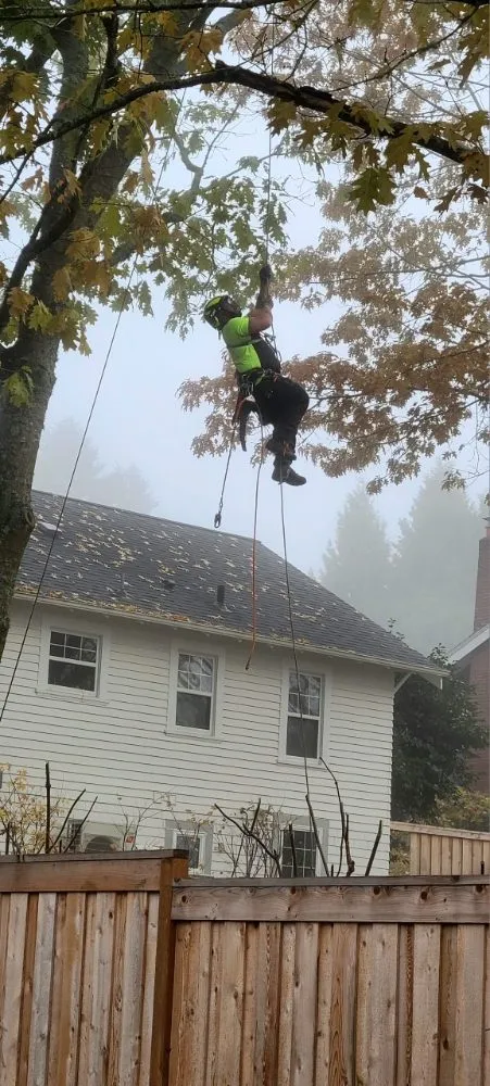 Expert outdoor landscaping in Gulfport, MS - N&T Lawns and Limbs