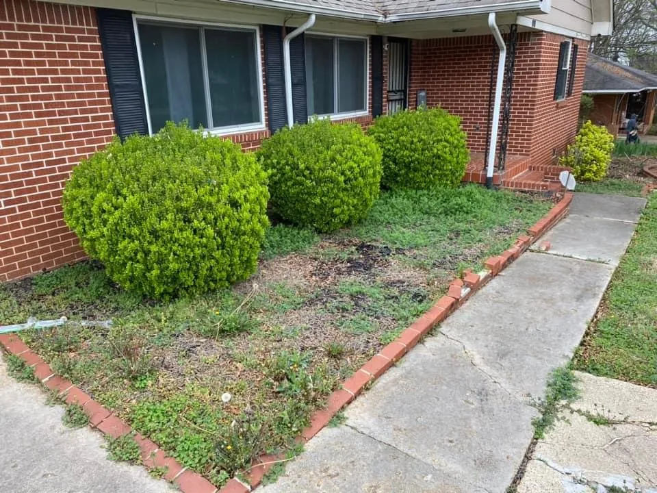 Affordable landscape design experts serving Sherwood, AR - NTJ Lawn and landscaping