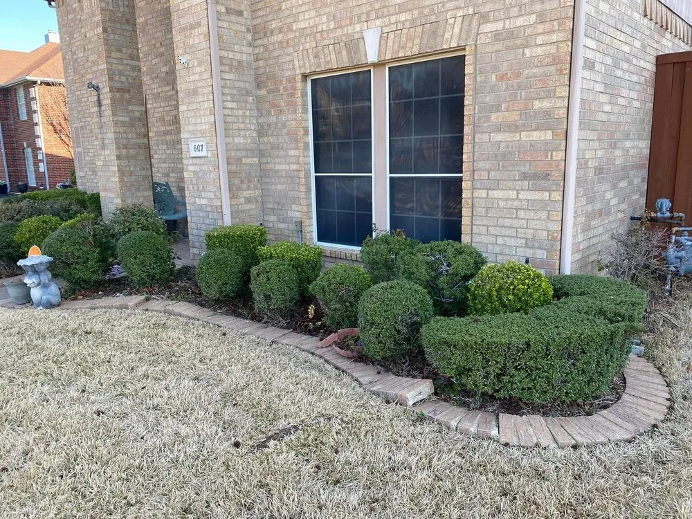 Trusted yard cleanup service for outdoor upgrades across Sherwood, AR - NTJ Lawn and landscaping