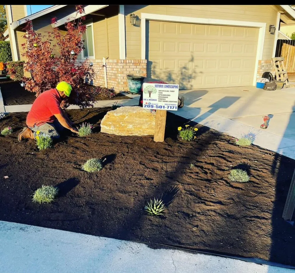 Custom yard cleanup service in Stockton, CA by Ntr Landscaping