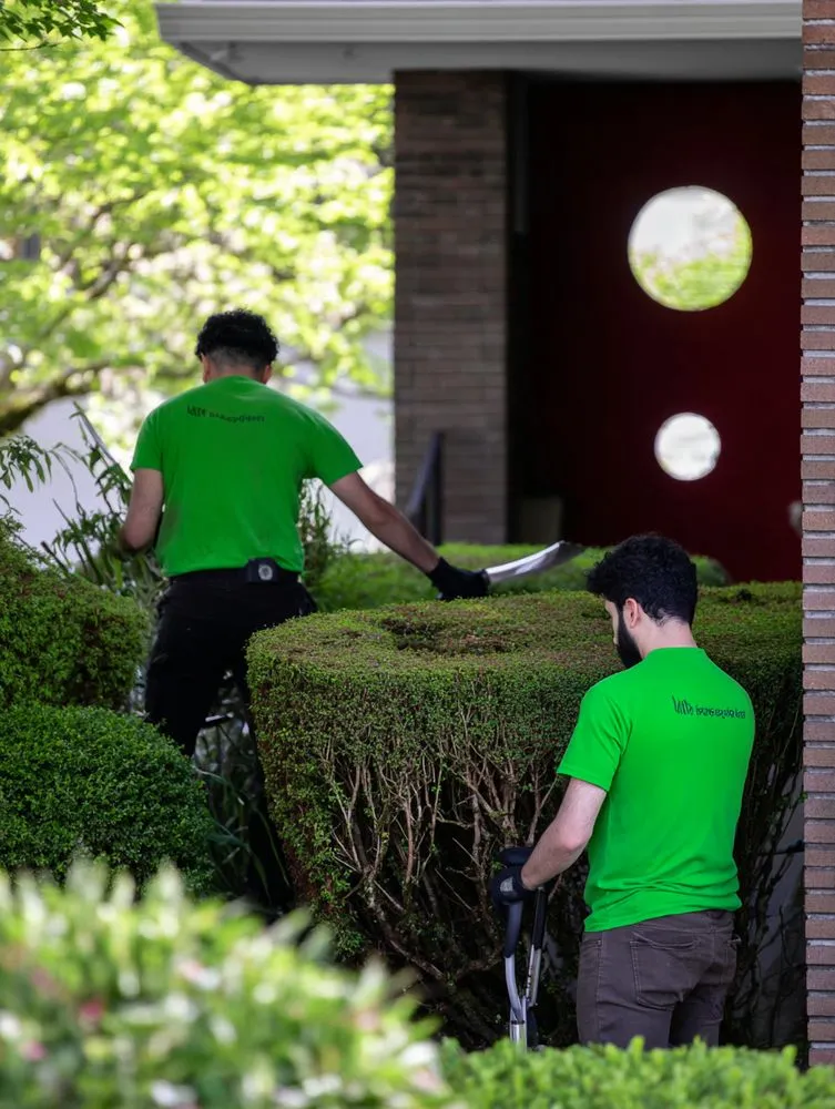 Trusted landscape design in Frisco, TX - NTX Mow