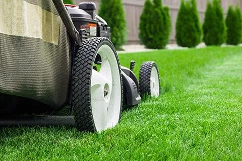 Professional yard cleanup service near you in Frisco, TX by NTX Mow