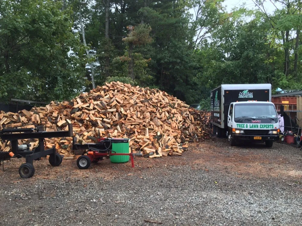 Expert lawn care service for year-round maintenance in Bardonia, NY by Nu Age Tree and Lawn Care