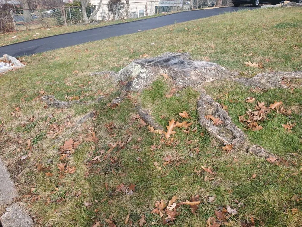 Professional lawn care service experts serving Bardonia, NY - Nu Age Tree and Lawn Care