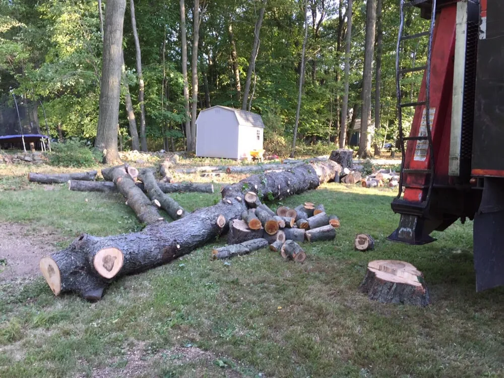 Reliable lawn care service near you in Bardonia, NY by Nu Age Tree and Lawn Care