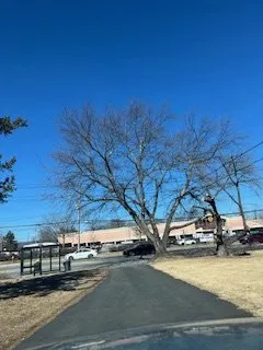 Affordable yard maintenance in Bardonia, NY by Nu Age Tree and Lawn Care