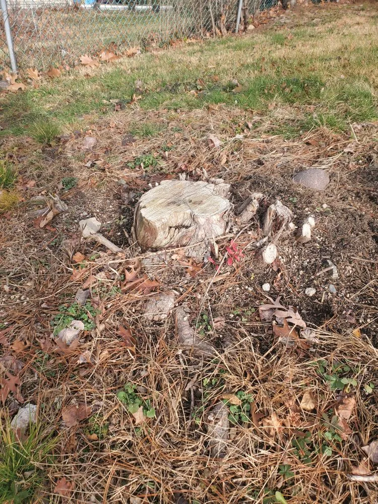 Local landscaping services for beautiful yards across Bardonia, NY - Nu Age Tree and Lawn Care