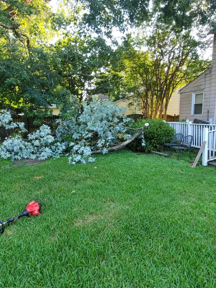 Affordable landscape design in Newport News, VA by Nu Era Janitorial