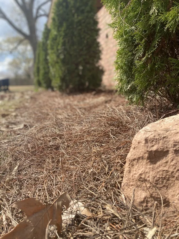 Local lawn mowing service in Florence, AL by Nu Green Exteriors