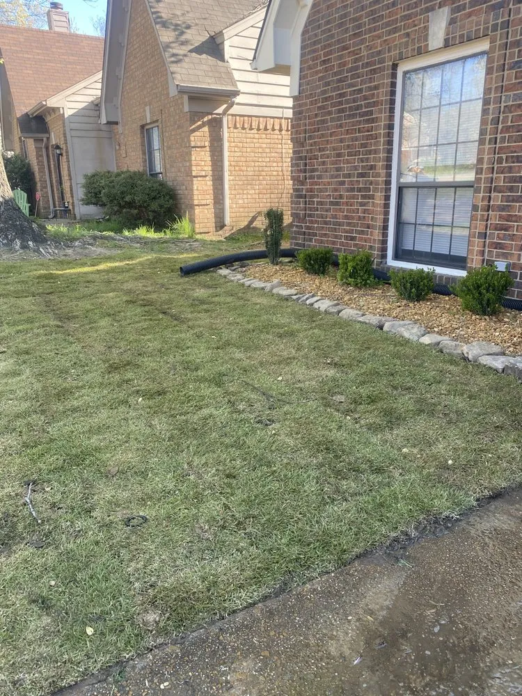 Custom yard maintenance experts serving Florence, AL - Nu Green Exteriors