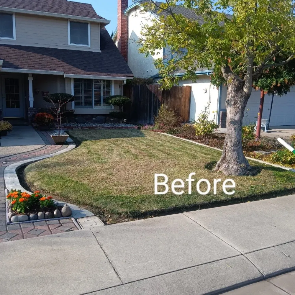 Custom yard cleanup service in Modesto, CA - Nu Image Custom Lawn and Mulch Painting