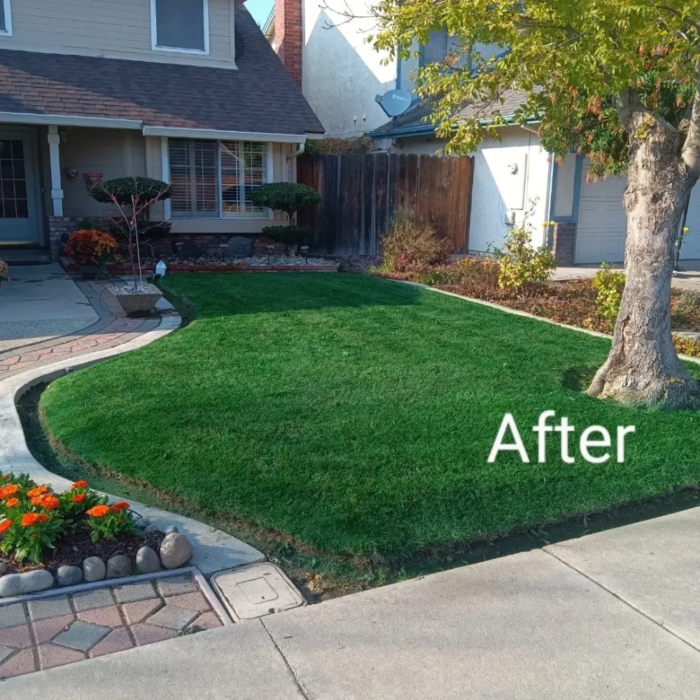 Local yard maintenance experts serving Modesto, CA - Nu Image Custom Lawn and Mulch Painting