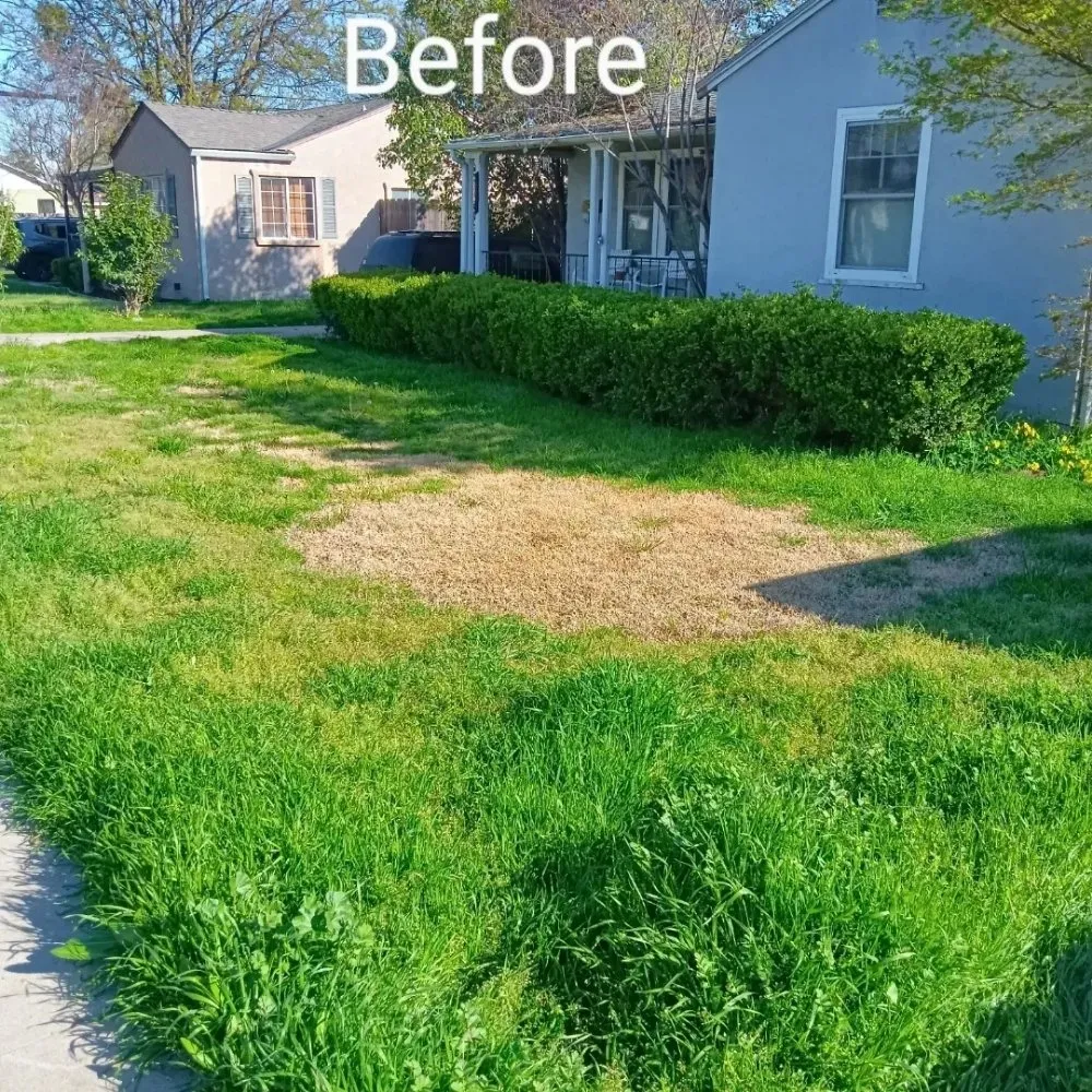 Professional lawn mowing service for year-round maintenance across Modesto, CA - Nu Image Custom Lawn and Mulch Painting