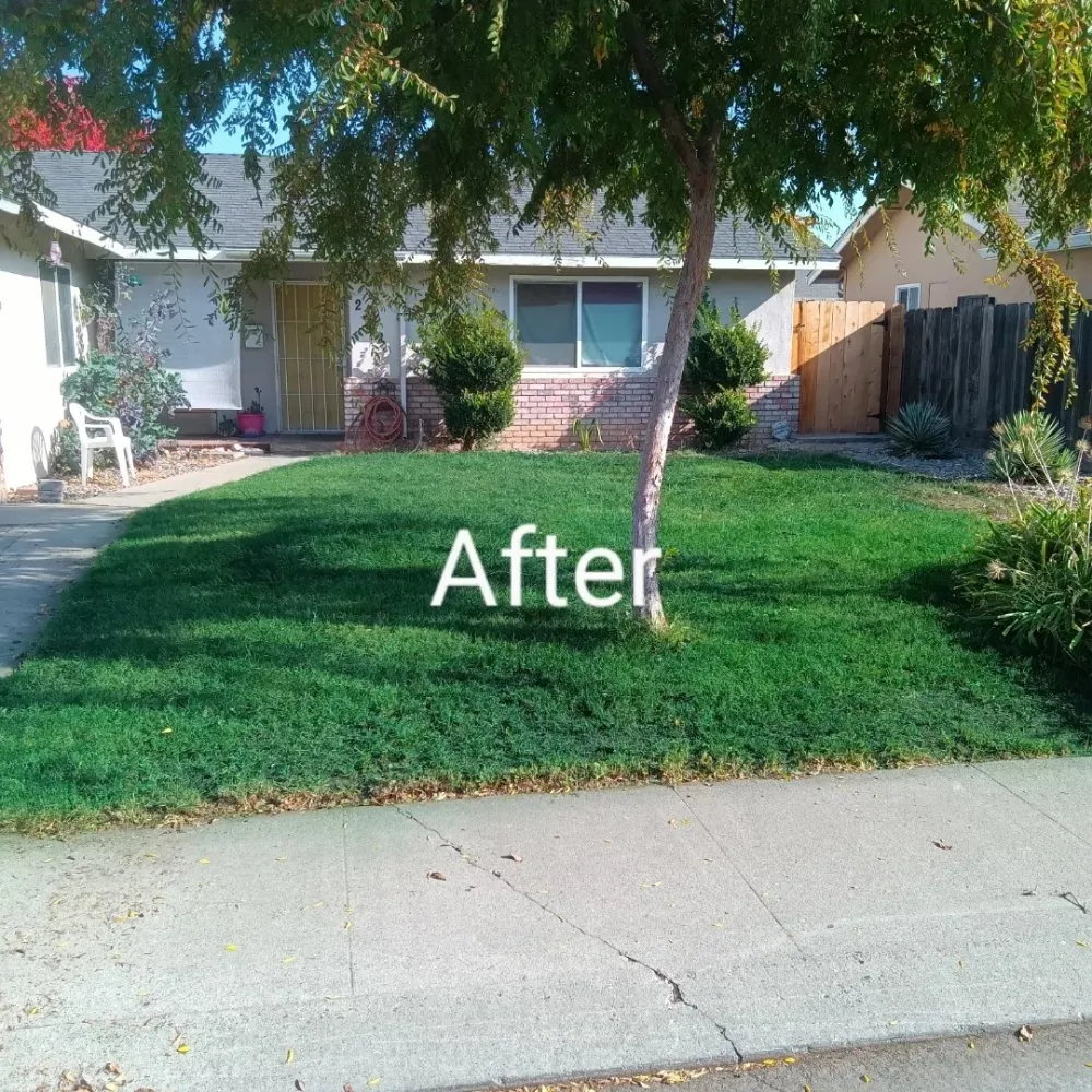 Top-rated landscape design in Modesto, CA - Nu Image Custom Lawn and Mulch Painting