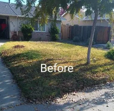 Custom landscaping services in Modesto, CA by Nu Image Custom Lawn and Mulch Painting